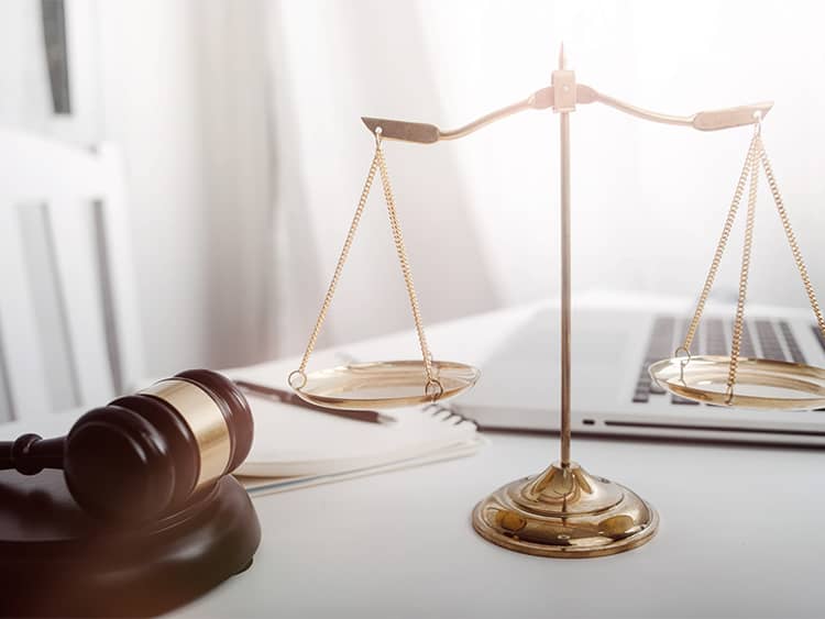 Refugee Litigation
